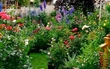 Gardening