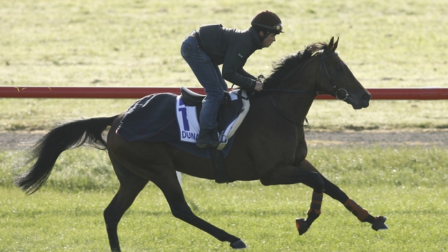 Dunaden is gearing up for his defence of the Melbourne Cup