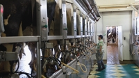 €35m investment in dairy processing facilities €35m investment in dairy processing facilities