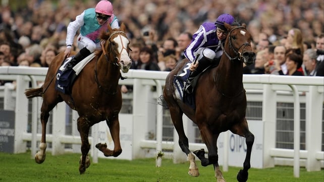 Excelebration was an impressive winner of the QEII on Champions Day at Ascot