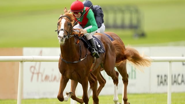 First Cornerstone was due to make his three-year-old debut at Leopardstown this afternoon