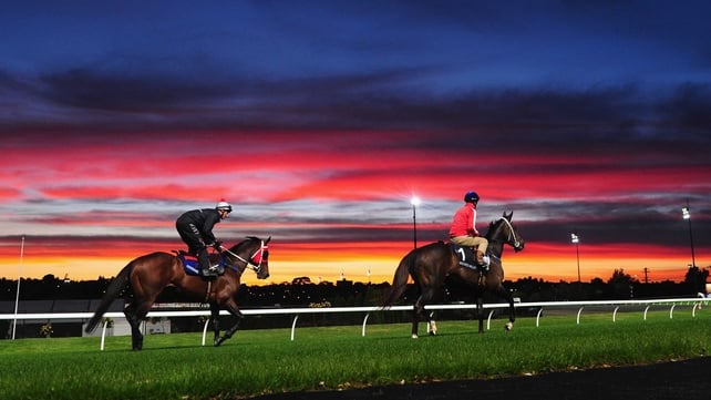 Ocean Park and jockey Glen Boss enjoy an early morning workout against an amazing sunrise backdrop at Moonee Valley