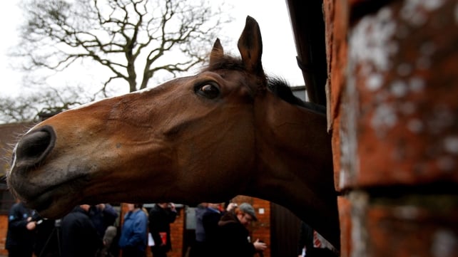 Kauto Star was retired this week