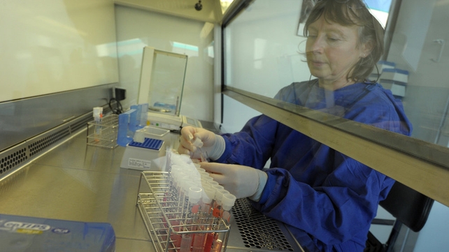 Schmallenberg Virus was first detected in Germany in late 2011 Schmallenberg Virus was first detected in Germany in late 2011