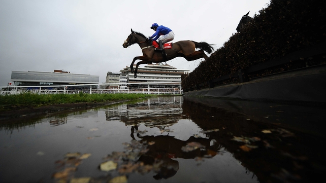 Colin Tizzard's Cue Card, former winner of the Cheltenham bumper, starts his season in the Haldon Gold Cup