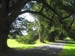 The John Murray Show Walk Club - Oldcastle