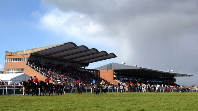 Fairyhouse preview