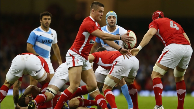 Tavis Knoyle sets up to box kick against Argentina