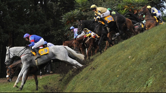 Velka Pardubicka winner set for Cheltenham