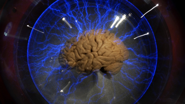 It is the first time such a severely brain damaged patient has been able to provide clinically relevant information It is the first time such a severely brain damaged patient has been able to provide clinically relevant information