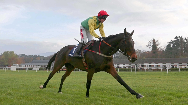 Sizing Europe's connections appear to have no pretensions to compete in the Gold Cup as his Cheltenham prep comes over the minimum trip