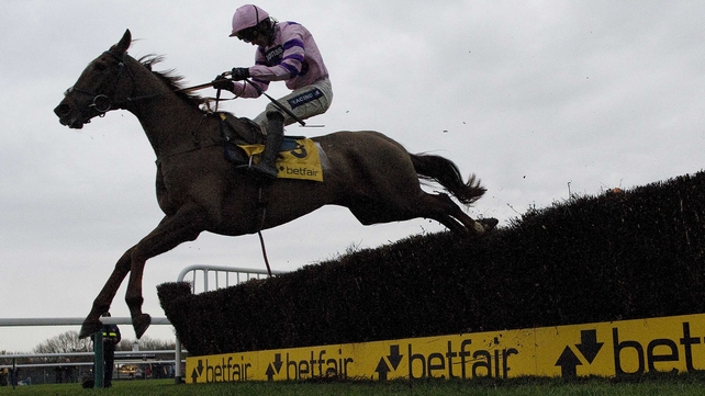 Paul Nicholls' Silviniaco Conti has already won the Charlie Hall Chase and Betfair Chase