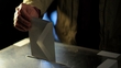 No seats but gains for UK Independence Party in Westminster elections