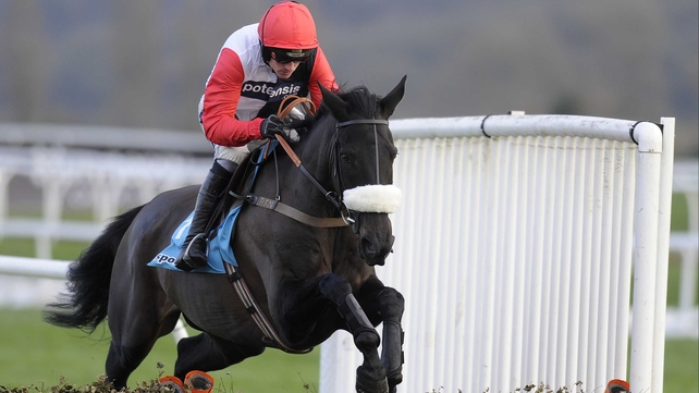 Big Buck's was due to run in Saturday's Long Walk Hurdle at Asco