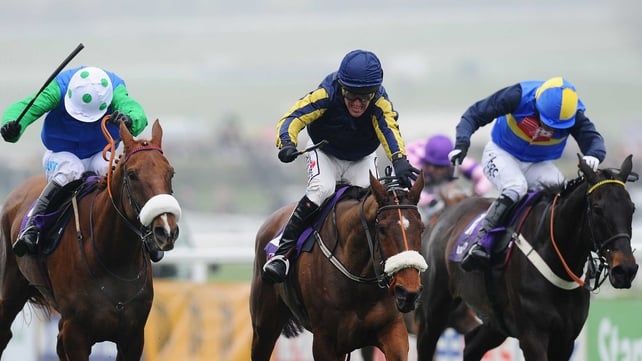 Bostons Angel (centre) could ride the major European cross-country races in 2013