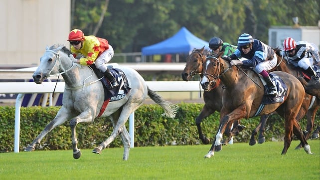 California Memory, under Matthew Chadwick, ran out a comfortable winner of the Hong Kong Cup for a second time, beating Giofra