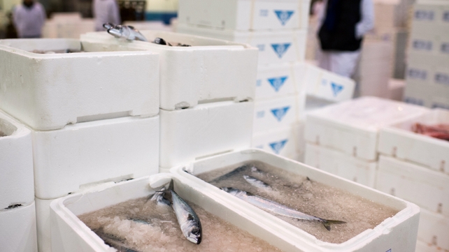 An outcome on the setting of fish quotas is expected by Thursday morning An outcome on the setting of fish quotas is expected by Thursday morning
