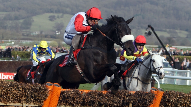Big Buck's is no bigger than 8-11 to make a winning return to action off his long lay-off