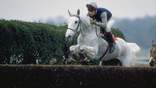 Four-time King George winner Desert Orchid