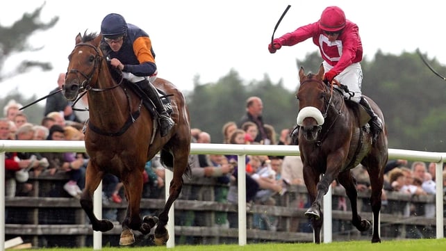 Rebel Fitz (l) may not run on Saturday if the ground is too heavy at Gowran Park