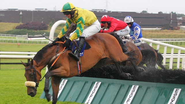 Zuzka was beaten by Face Value in another noteable run this year in Galway