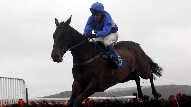 A racecourse return is planned for Cappa Bleu some time this month