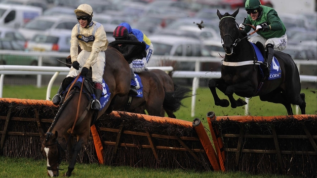 Swnymor appeared to have the race in the bag until falling at the last