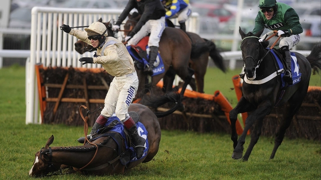 Swnymor fell, hampering Megalypos (right) and leaving Ruacana (black) to score.