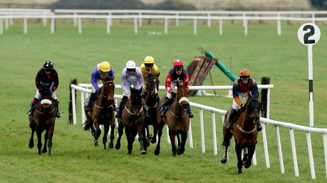 Solwhit (third left) is as low as 10-1 for the World Hurdle, but he may not travel for the race, warns his trainer