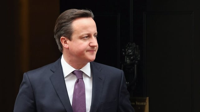 David Cameron plans to campaign for a more flexible EU David Cameron plans to campaign for a more flexible EU