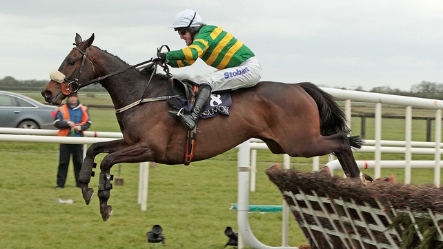 Jenari sustained an injury on the gallops on Tuesday