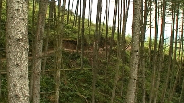 Simon Coveney said the focus will now be on restructuring Coillte Simon Coveney said the focus will now be on restructuring Coillte