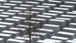 Holocaust Memorial Day.