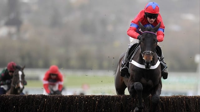 Sprinter Sacre is an overwhelming favourite for the Queen Mother Champion Chase