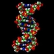 DNA Database.
