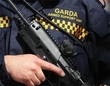 Garda Weapons