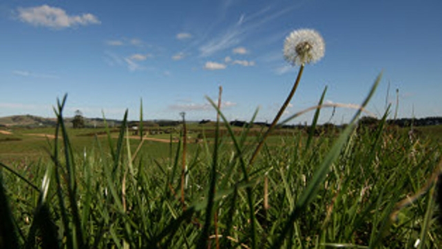 Independent Commission for the Location of Victims' Remains Independent Commission for the Location of Victims' Remains