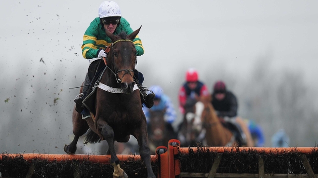 My Tent Or Yours will run in the Supreme Novices' Hurdle at this year's Festival