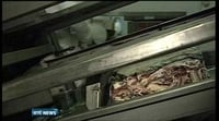 Nine News: Production at Rangeland Foods to resume Nine News: Production at Rangeland Foods to resume