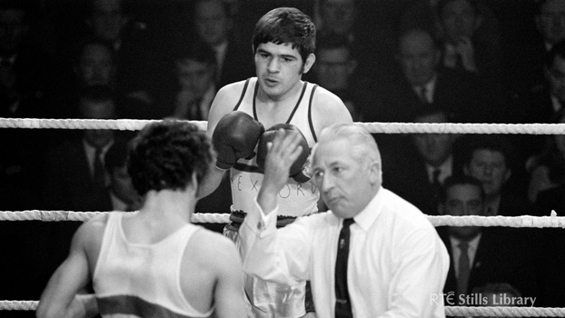 Can you name this Wexford boxer?