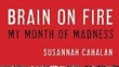 Brain on Fire - My Month of Madness