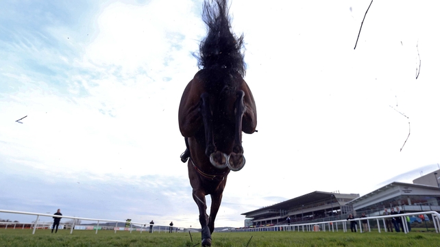 Sir Des Champs is one of 12 horses still standing their ground for Friday's Gold Cup