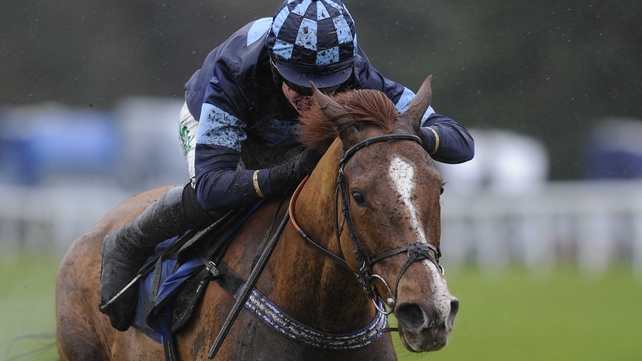 Melodic Rendezvous relished the testing conditions at Exeter