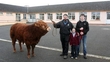 Farmer Des Joyce & his bull
