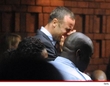 Pistorius Case