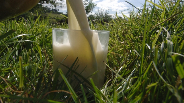 Balkan milk scare was triggered when laboratory tests confirmed higher-than-prescribed levels of aflatoxin Balkan milk scare was triggered when laboratory tests confirmed higher-than-prescribed levels of aflatoxin