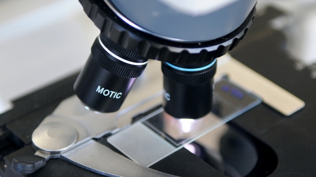 Trino Therapeutics secure €9m in new funding Trino Therapeutics secure €9m in new funding