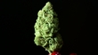 Marijuana in Colorado