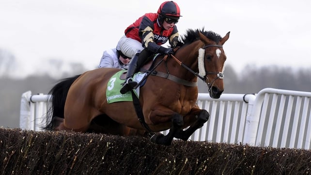 Pacha du Polder will swerve the Cheltenham Festival in favour of a trip to either Ayr or Aintree