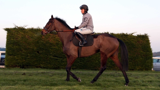 Katie Walsh on Quevega prior to the mare's Leopardstown gallop